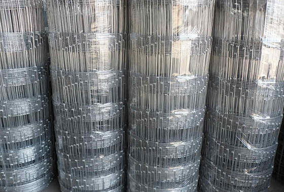 50m Farm Galvanized Steel Field Fencing , Galvanised Wire Mesh Fencing