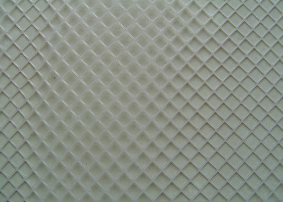 Grass Protection Plastic Wire Mesh Hexagon Aperture Wear Resisting 3mm Thickness