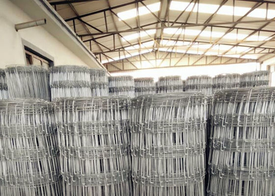 Fixed Hinge Grassland Wire Fence , 2.5mm Galvanized Mesh Wire Fencing