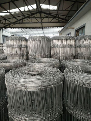 Fixed Hinge Grassland Wire Fence , 2.5mm Galvanized Mesh Wire Fencing